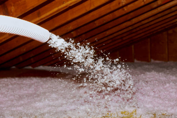 Best Wall Insulation Contractor  in Fort Branch, IN