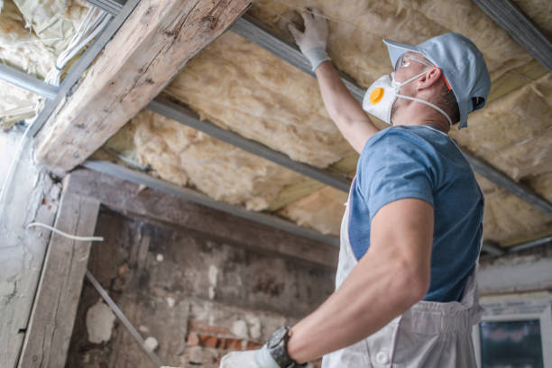 Best Local Insulation Services  in Fort Branch, IN