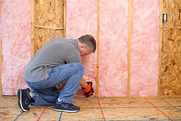 Best Attic Insulation Installation  in Fort Branch, IN
