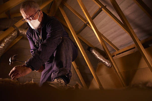 Best Professional Insulation Contractor  in Fort Branch, IN